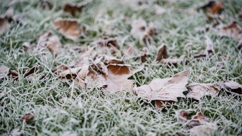 Riesgo en CyL por niebla y bajas temperaturas de -6ºC el jueves