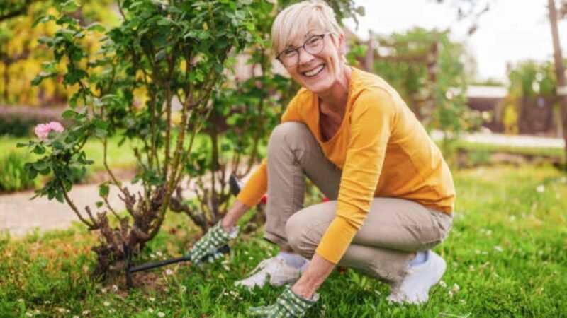 Las mejores 5 recetas del abuelo para combatir las malas hierbas en el jardín