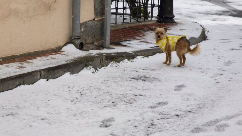 Aemet activa advertencia amarilla por nevadas en Sierra esta tarde