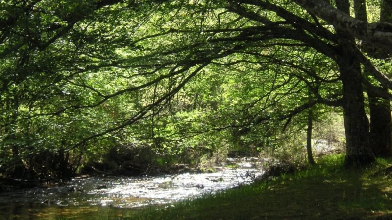 Actividades divulgativas gratuitas sobre biodiversidad en Madrid.