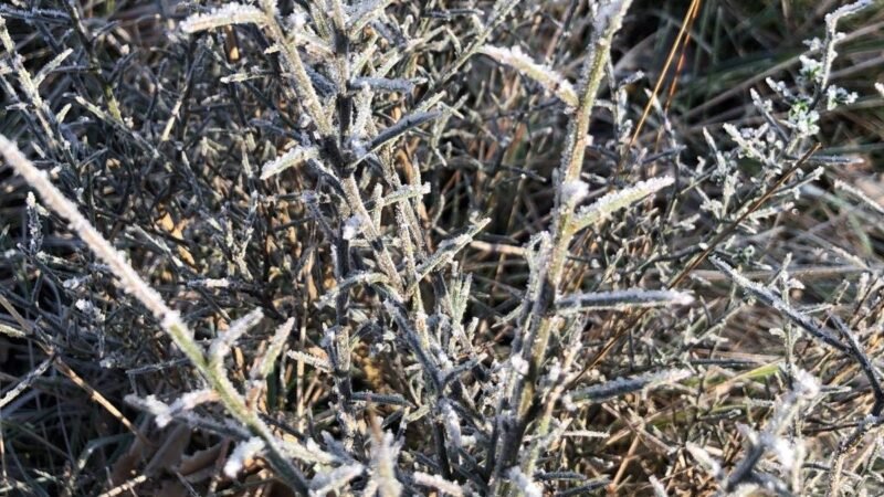 Aviso amarillo en Navarra por temperaturas de -6 grados el domingo