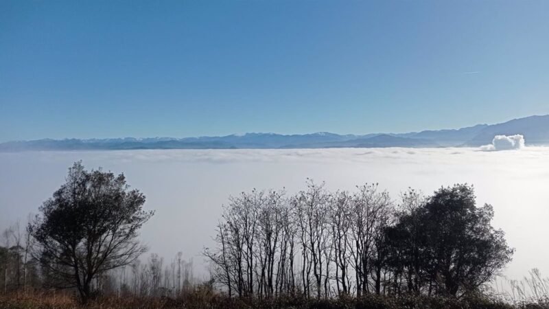 Aviso amarillo por niebla en Ribera del Ebro el jueves