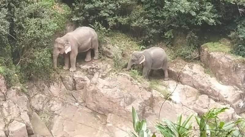 Confirman muerte accidental de turista español en Tailandia