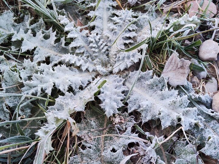 Descenso de temperaturas en Aragón, alerta amarilla por frío.