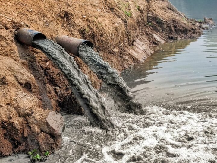 Descubre los 5 tipos de contaminación que dañan el planeta