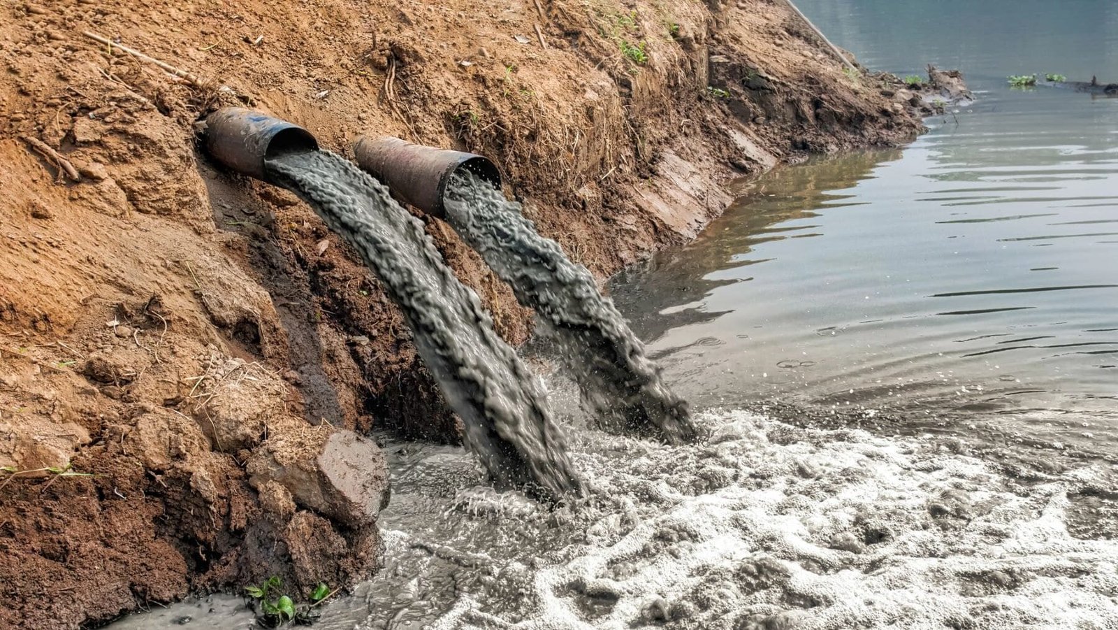 Descubre los 5 tipos de contaminación que dañan el planeta