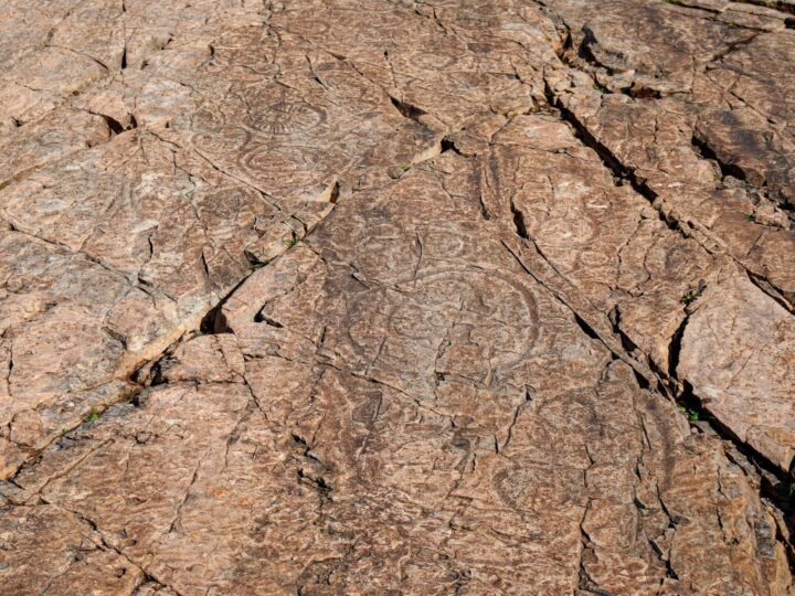 «Descubrimiento paleontológico en Parque Natural de Sierra Morena» de impacto global