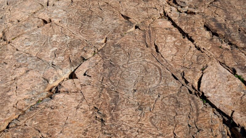 «Descubrimiento paleontológico en Parque Natural de Sierra Morena» de impacto global