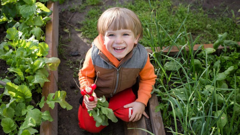 Día Mundial de la Educación Ambiental 2025