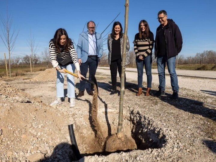 El Bosque de Zaragoza: un paseo arbolado en La Cartuja Baja de Ebro