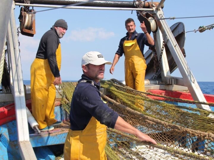 El Gobierno solicitará apoyo para renovar las redes de pesca en el Mediterráneo