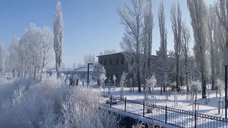 El este de Turquía se congela por ola de frío polar