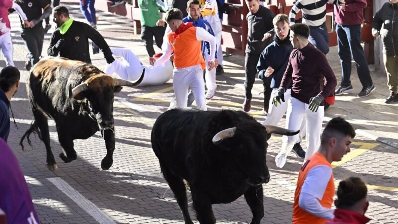 El primer Toros Blancos del Sanse termina con caídas leves y un posible traumatismo craneoencefálico