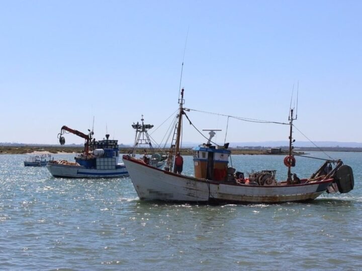 El sector pesquero andaluz volverá a operar tras huelga del 100% de la flota