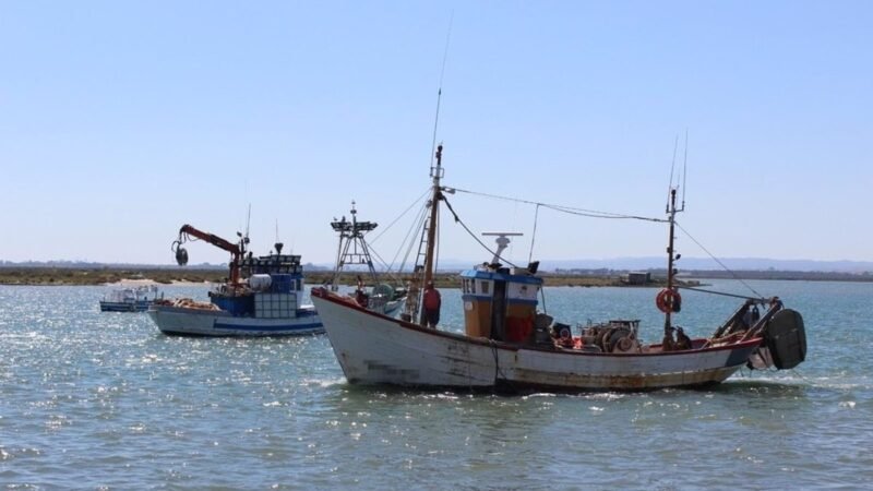 El sector pesquero andaluz volverá a operar tras huelga del 100% de la flota