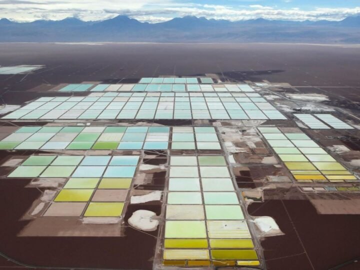 En busca del colorido desierto: el futuro de la humanidad.