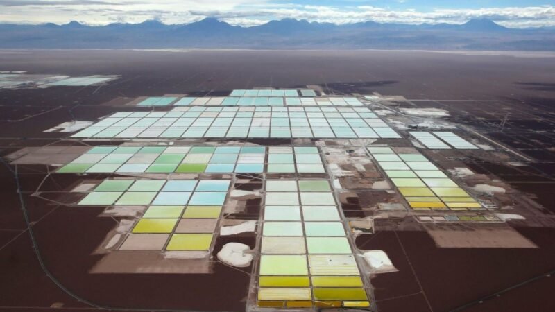 En busca del colorido desierto: el futuro de la humanidad.