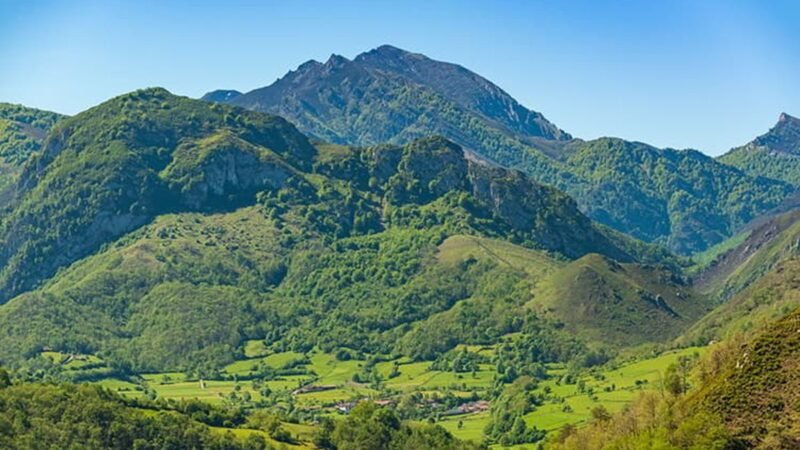 Estudio en Asturias, Cantabria, Galicia y CyL muestra aumento de lobos.