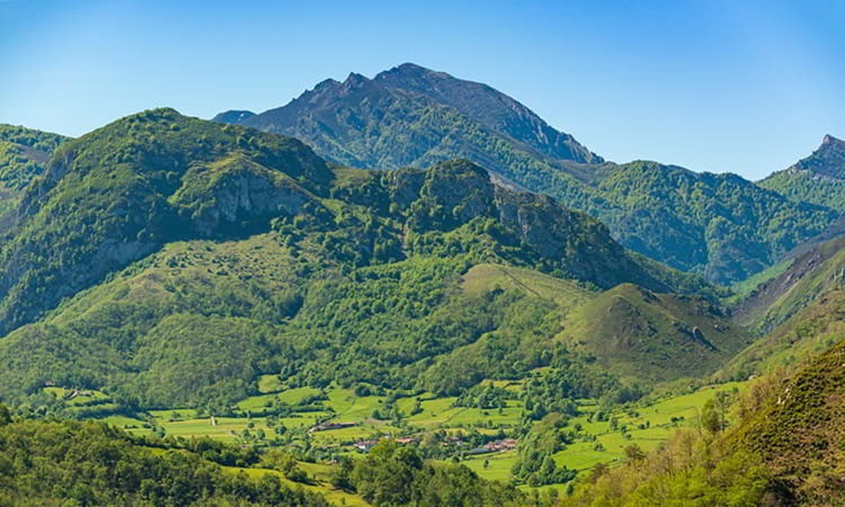 Estudio en Asturias, Cantabria, Galicia y CyL muestra aumento de lobos.