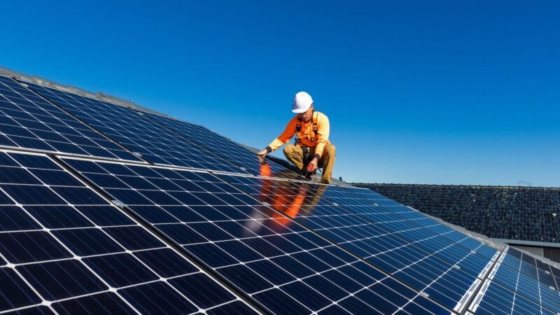 Industria alemana de paneles solares lucha contra caída de demanda.