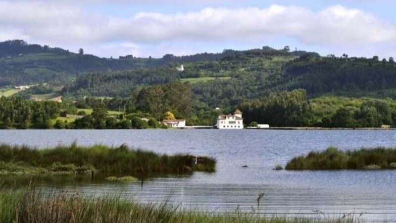 Inversiones para restaurar humedales en parque natural de Villaviciosa (Asturias)