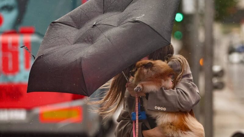 La tormenta «Herminia» afecta a Castilla y León con viento, nieve y lluvia