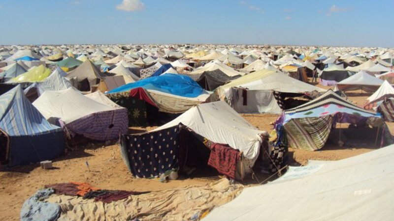 Médicos de Neuropediatría y Asace-Rioja viajarán a campamentos Saharawi.