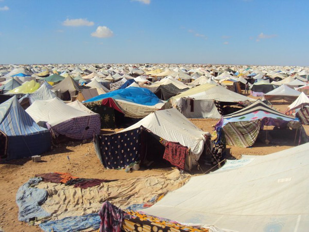 Médicos de Neuropediatría y Asace-Rioja viajarán a campamentos Saharawi.