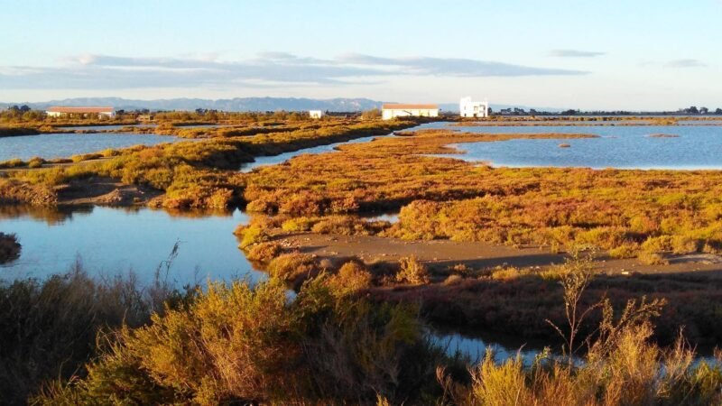 Nactiva y Centro Resiliencia firman alianza por Delta hebreo