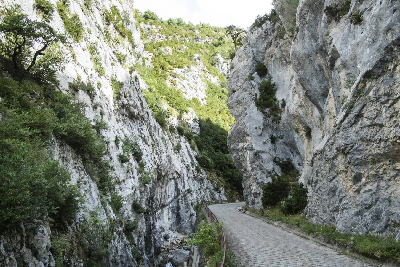 Navarra se incorporará al proyecto «Zona de montaña en los Pirineos resiliente al clima»