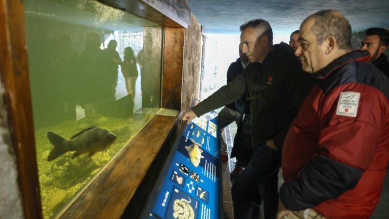 Proyecto en la Sierra de Guadarrama para recuperar trucha común en Madrid.