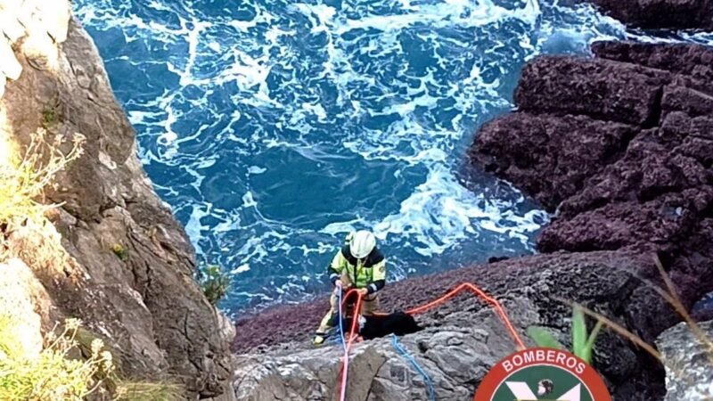 Rescate de perro caído al mar en Castro.