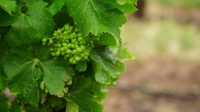 Rioja asegura su economía y planificación para el futuro