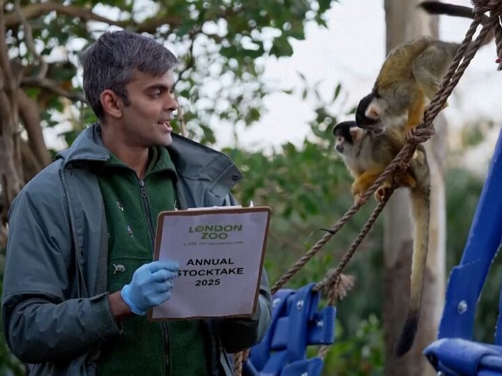 VIDEO: Gran cantidad de animales en el Zoológico de Londres