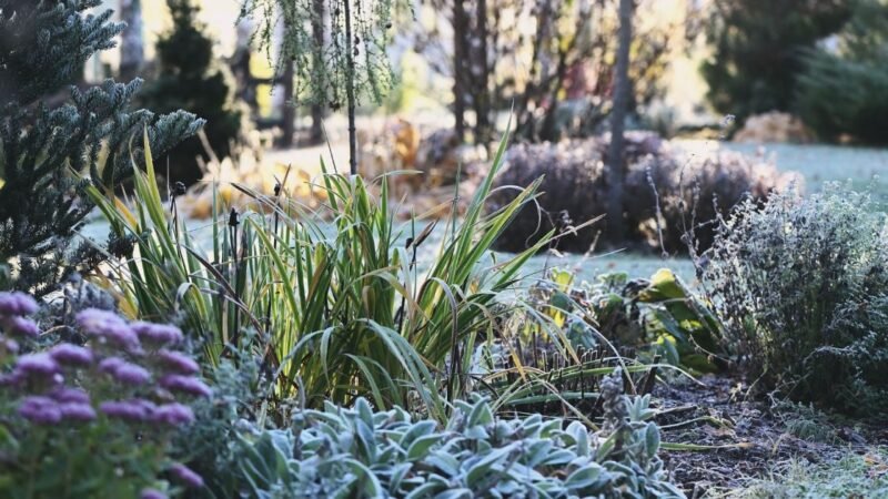 ¿Por qué esperar hasta la primavera para hacer la tarea de jardinería?