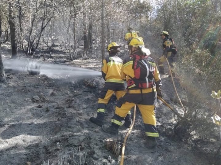 Incendios forestales arrasan 0.08 hectáreas en islas Baleares en enero