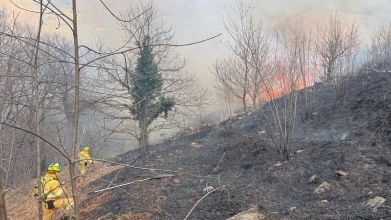 Incendios forestales activos en Cantabria: cinco de quince en últimas 24 horas