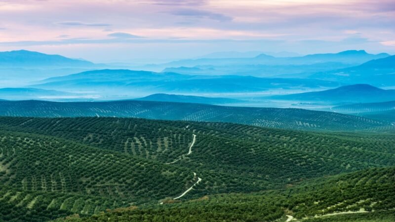 Visita el Aula Natural en Burguillos, Bailén (Jaén) y descubre sus espacios naturales