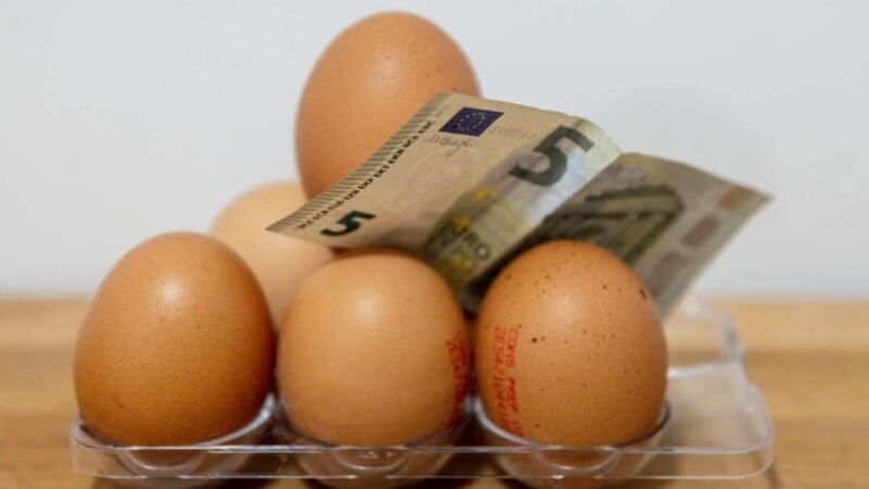 No subí los precios, pero reduje la plantilla